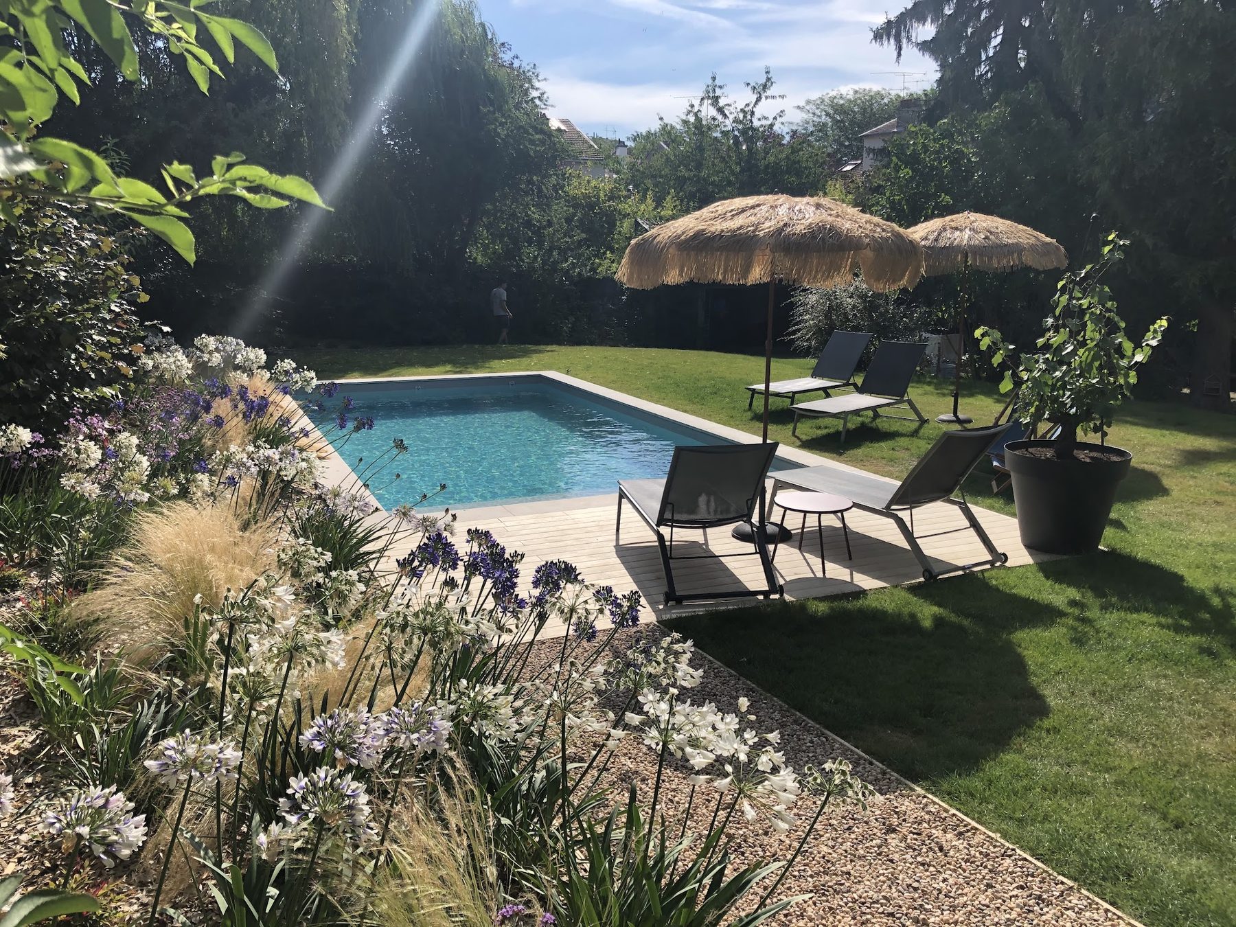 Jardin fleuri d'agapanthes et de graminées autour d'une piscine et d'une pelouse